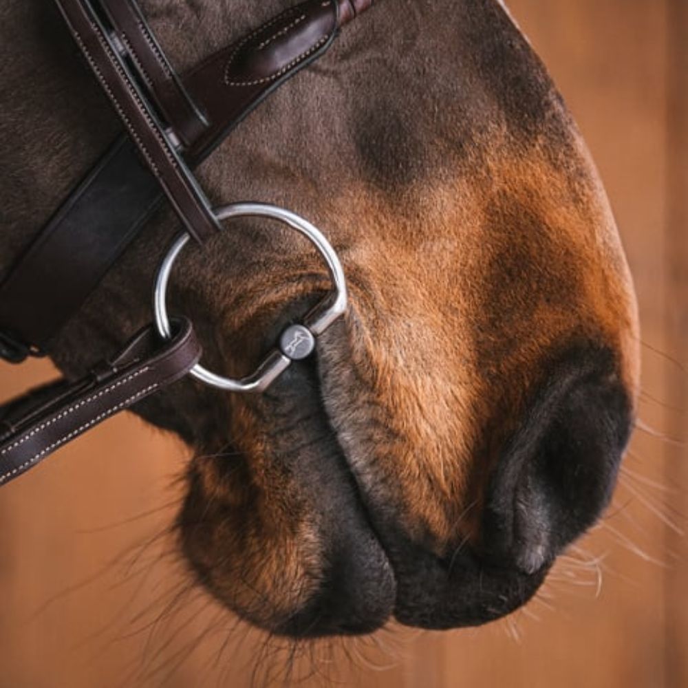 fager laura titanium bustrens enkelgebroken voor paarden in de mond van een donkerbruin paard