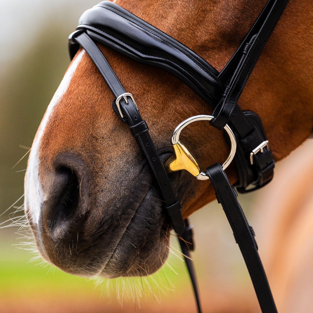 BR Hoofdstel Hamilton – Anatomisch comfort en luxe uitstraling - wit onderlegd