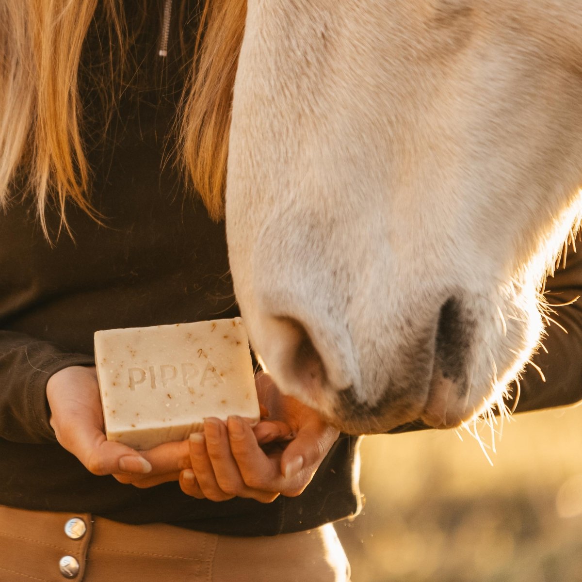 pippa paardenshampoo coconut en marigold shampoo bar in de handen van een dame terwijl een paard er aan snuffelt