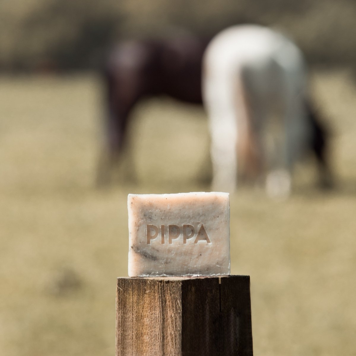 pippa paardenshampoo tea tea eucalyptus shampoo bar