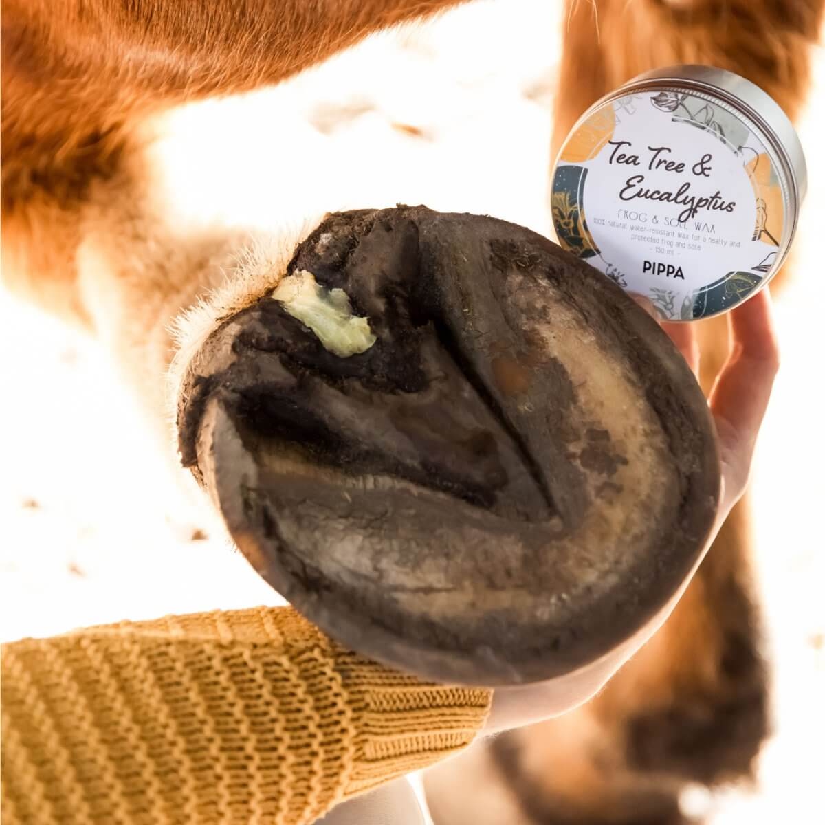 PIPPA Tea Tree & Eucalyptus Straal en Zool Wax