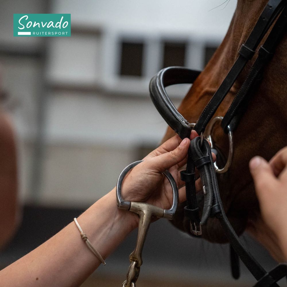 Veelgestelde vragen over bitten