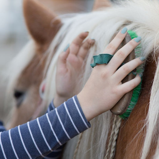 Verzorg je paard met de juiste producten