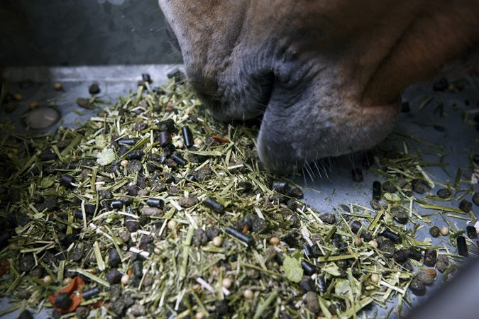 Voeding en supplementen