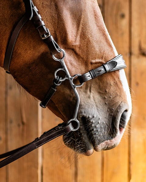 Hunter Hackamore Short shank