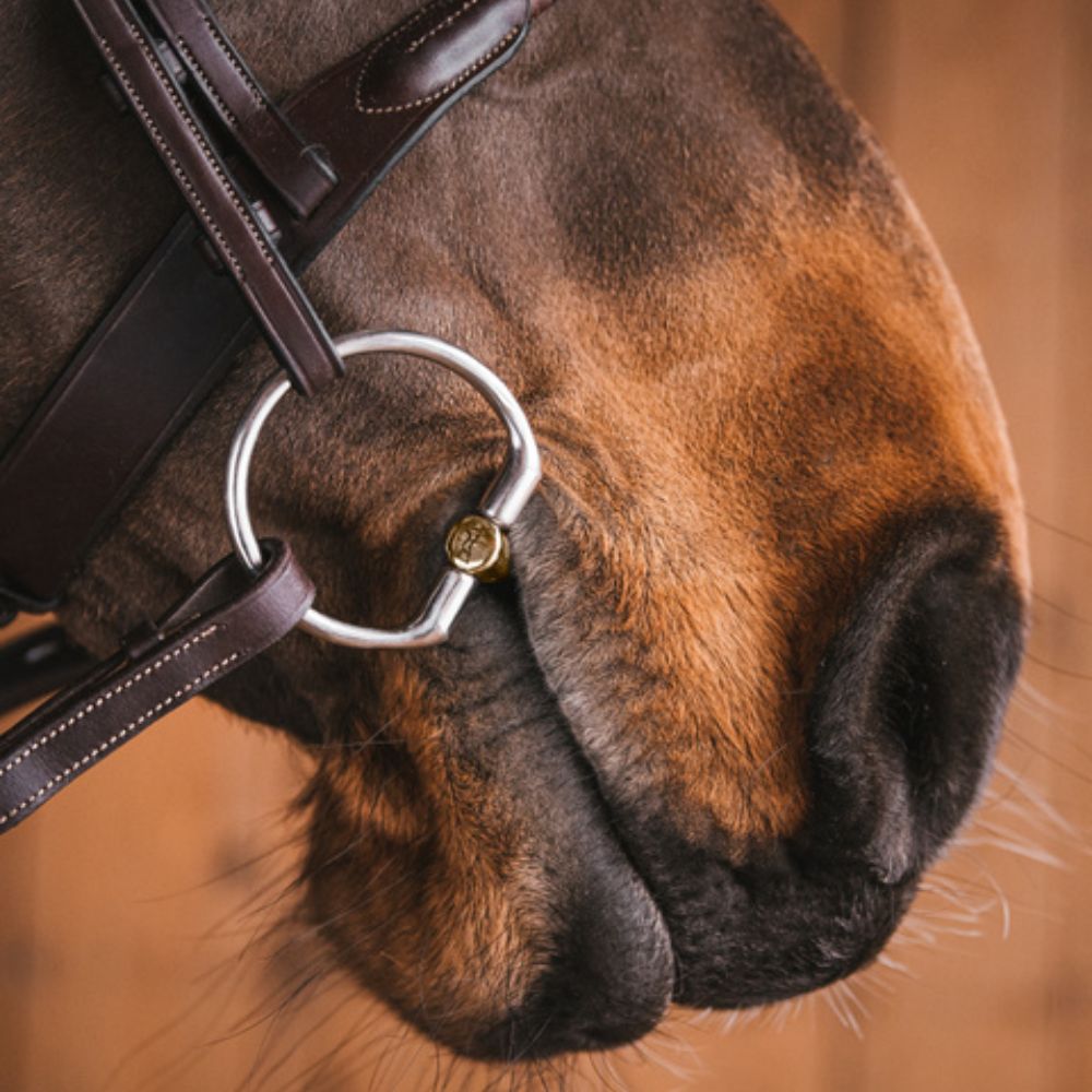 Fager Owen Sweet Gold - ongebroken bustrens