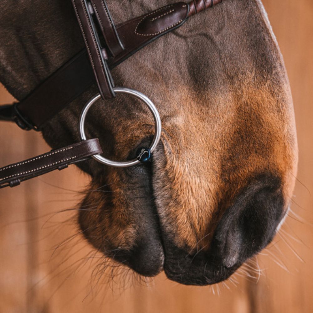 Fager Sally Titanium - dubbel gebroken watertrens