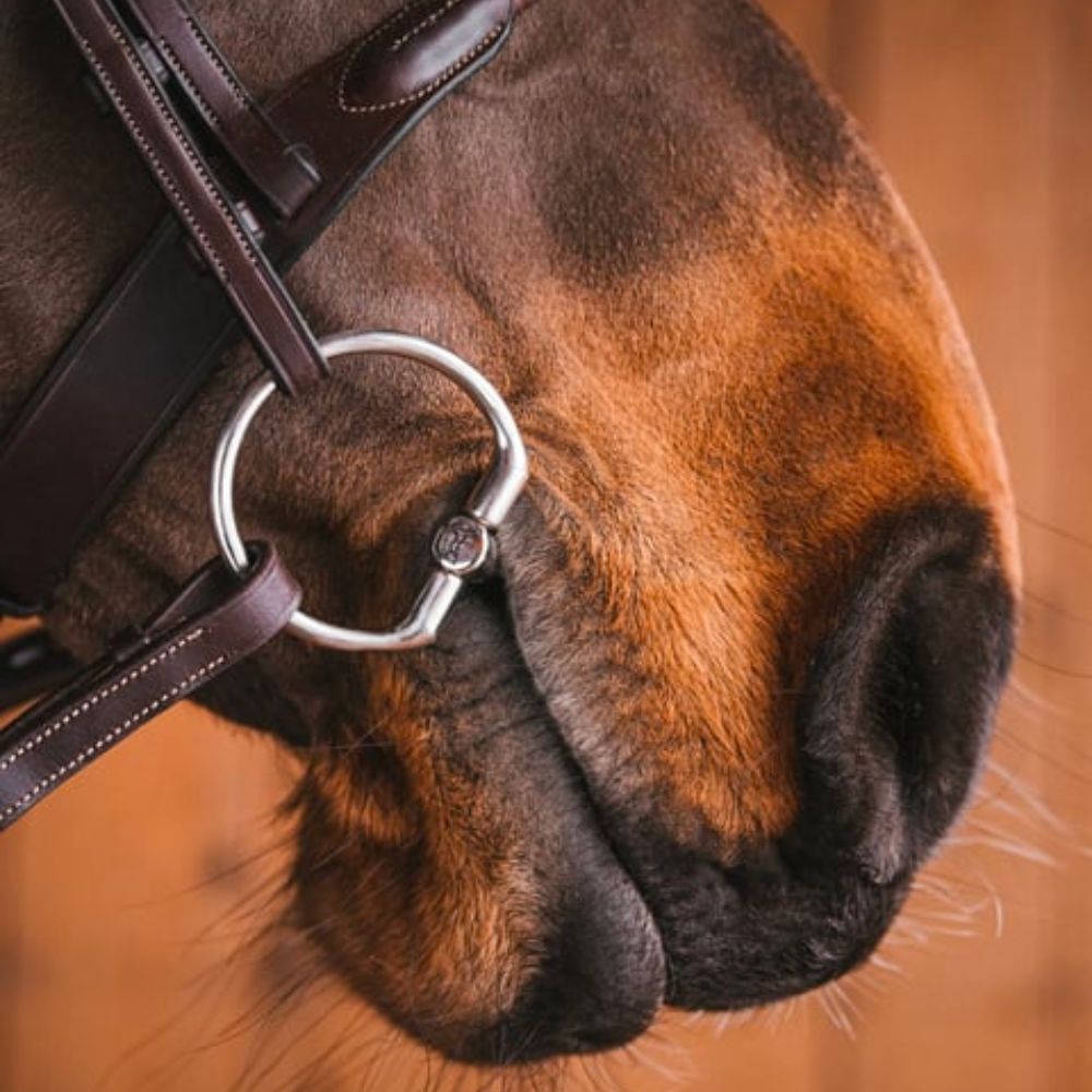 fager sweet iron bustrens in de mond van een bruin paard
