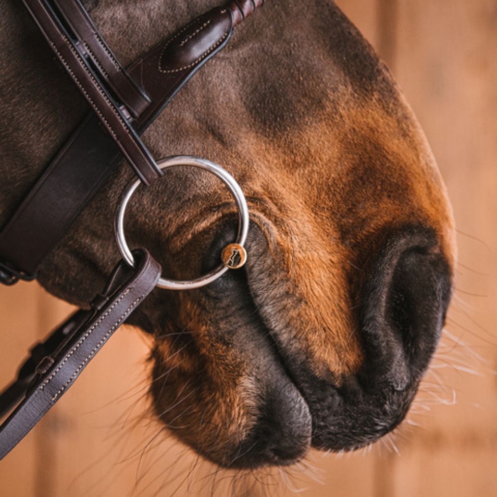 fager sweet gold watertrens in de mond van een bruin paard
