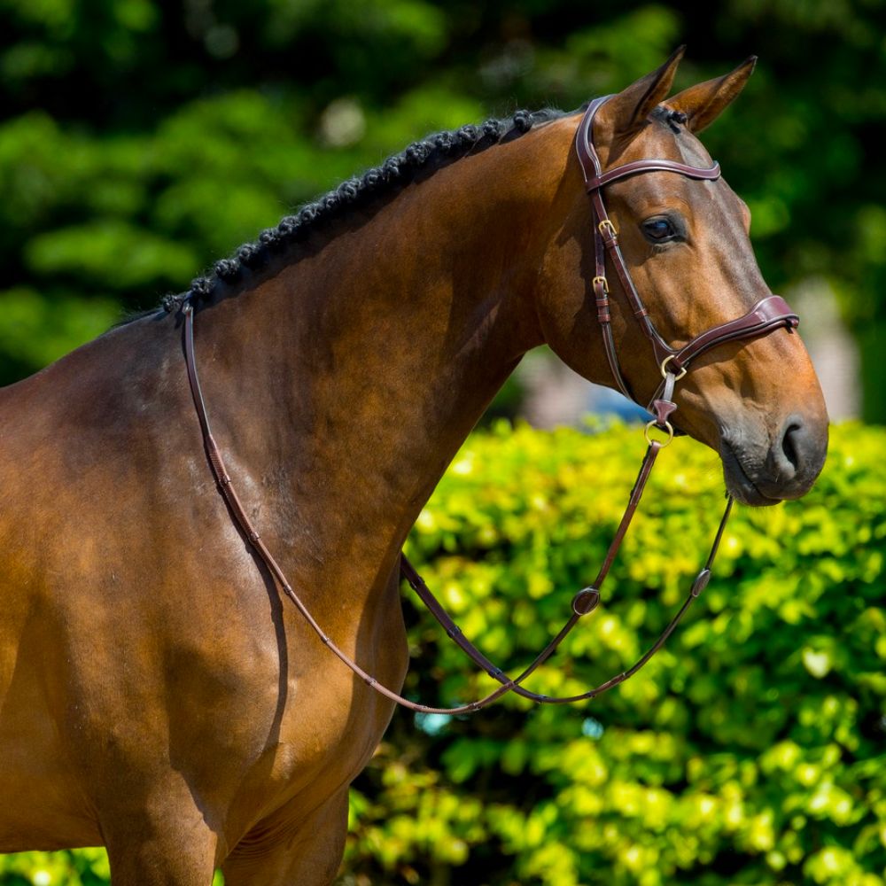 Trust  Equestrian Falsterbo T-motion hoofdstel