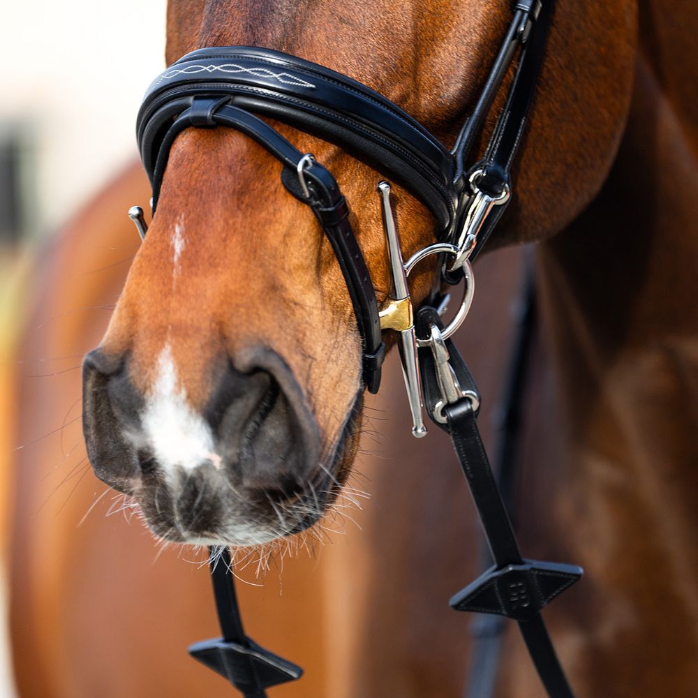 BR Trainingshoofdstel Seaford – Comfort, flexibiliteit en gebruiksgemak