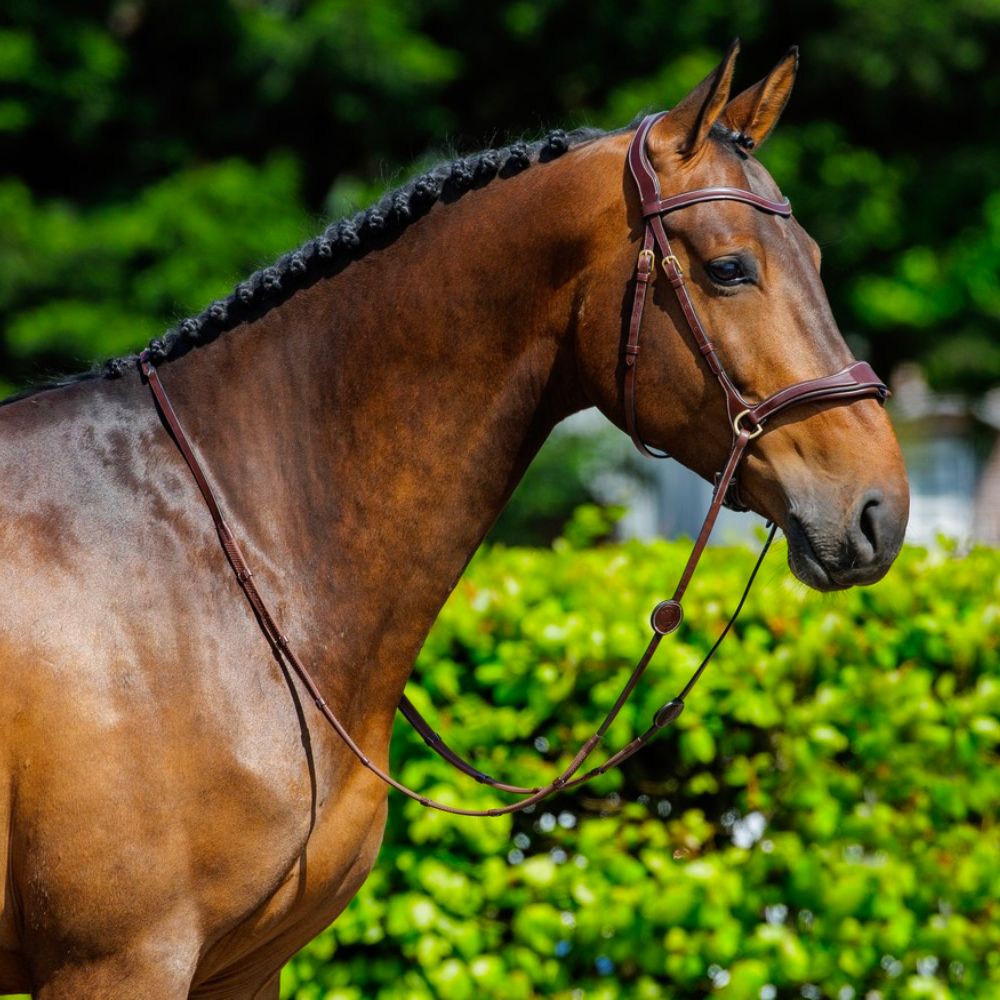 Trust  Equestrian Falsterbo T-motion hoofdstel