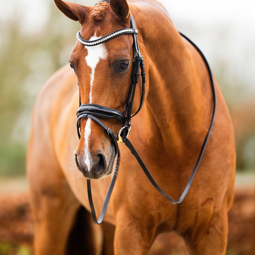 BR Hoofdstel Hamilton – Anatomisch comfort en luxe uitstraling