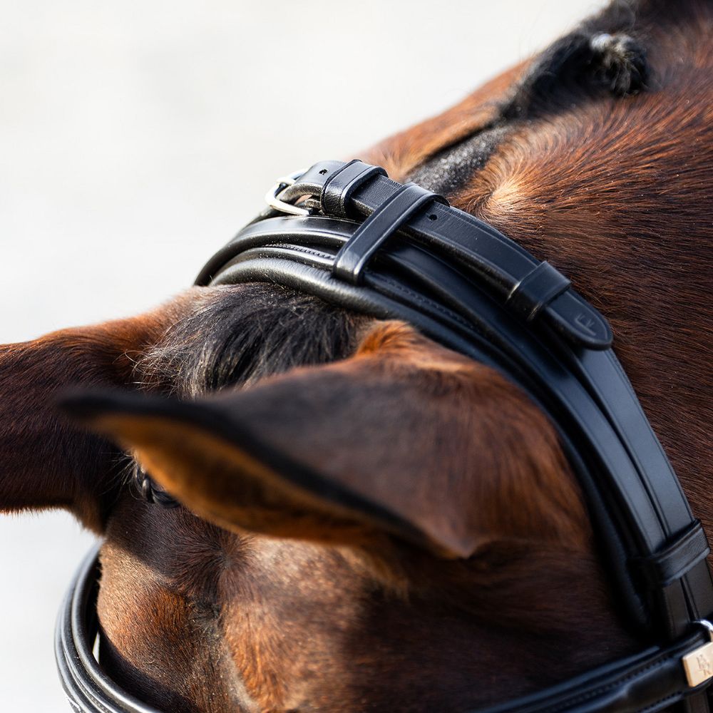 BR Trainingshoofdstel Seaford – Comfort, flexibiliteit en gebruiksgemak