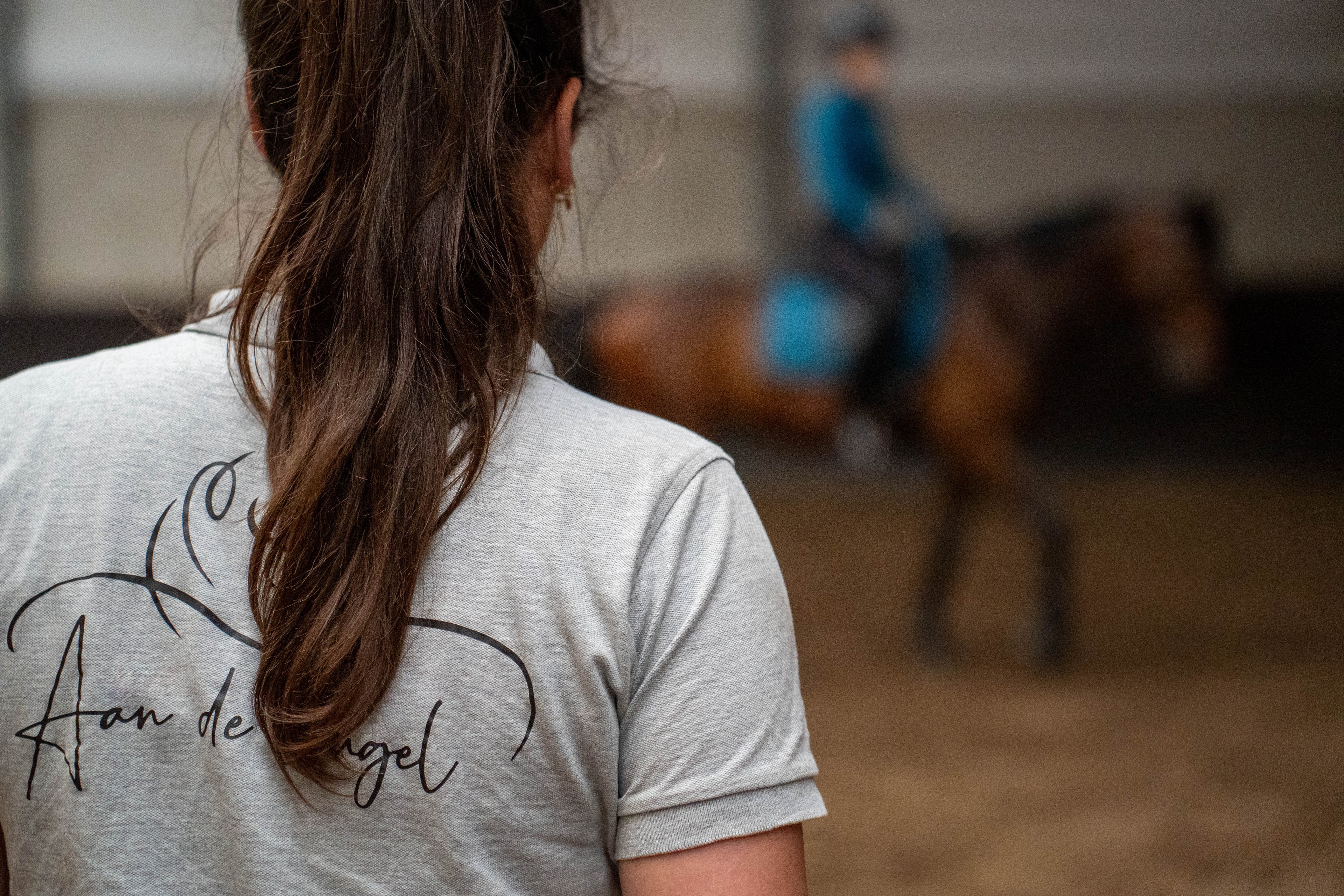 Consult Bit- & Bridle Fitting – deskundig advies bij jou op stal