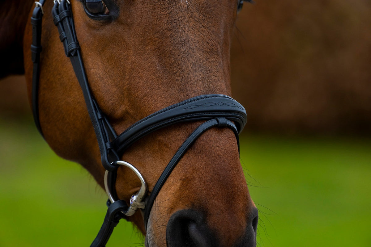 TRUST Amsterdam Comb.noseband bridle anatomic