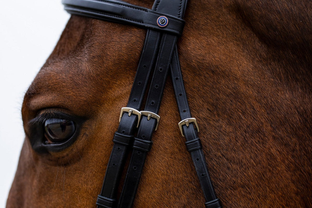 TRUST Amsterdam Comb.noseband bridle anatomic