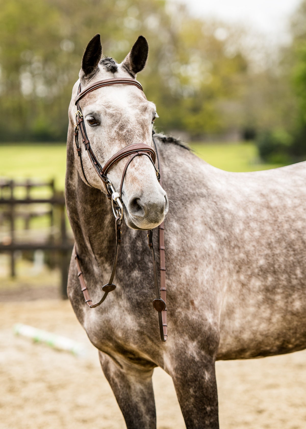 TRUST Amsterdam Comb.noseband bridle anatomic