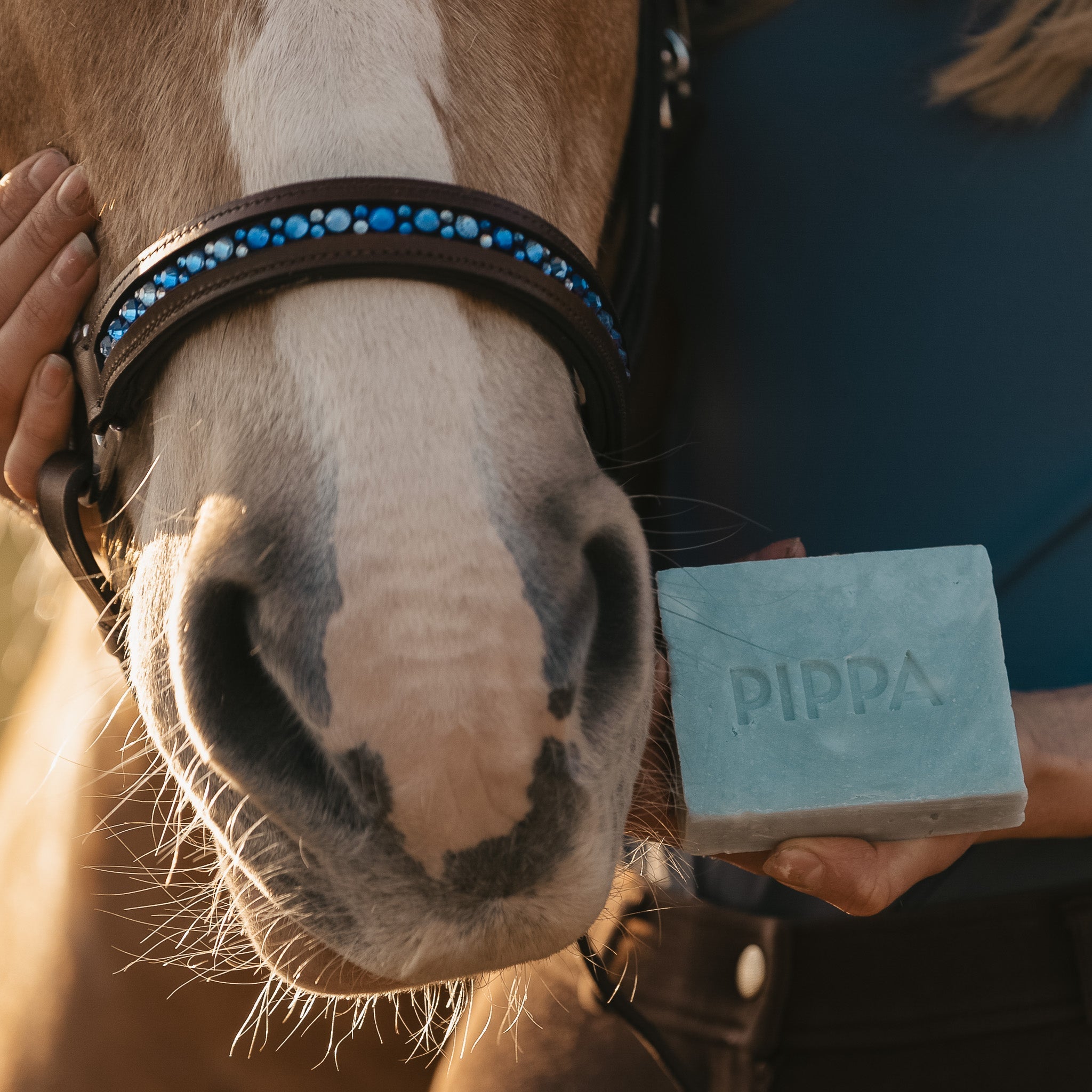 pippa shampoobar in de handen van een ruiter met een palomino paard met een bles