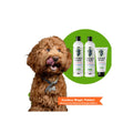 cowboy magic medium pakket met shampoo conditioner en detangler afgebeeld met een labradoodle
