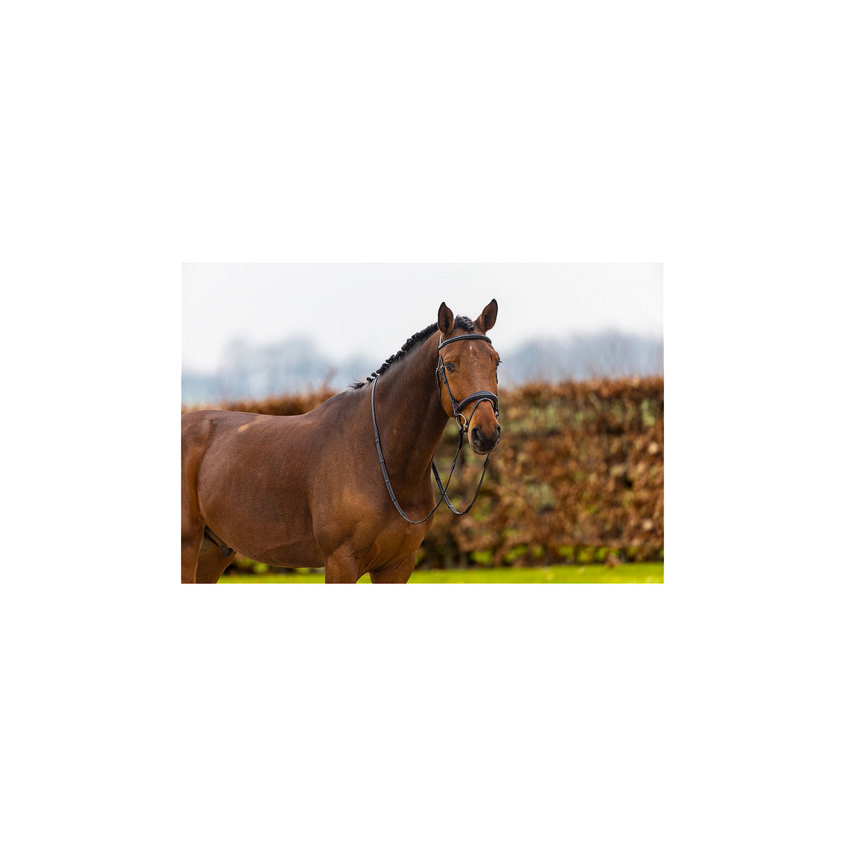 TRUST Amsterdam Comb.noseband bridle anatomic