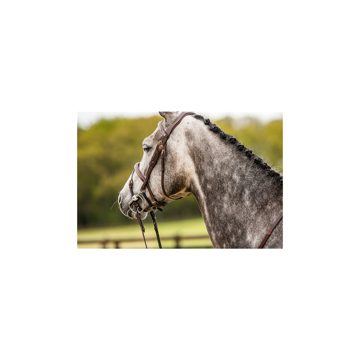 TRUST Amsterdam Comb.noseband bridle anatomic