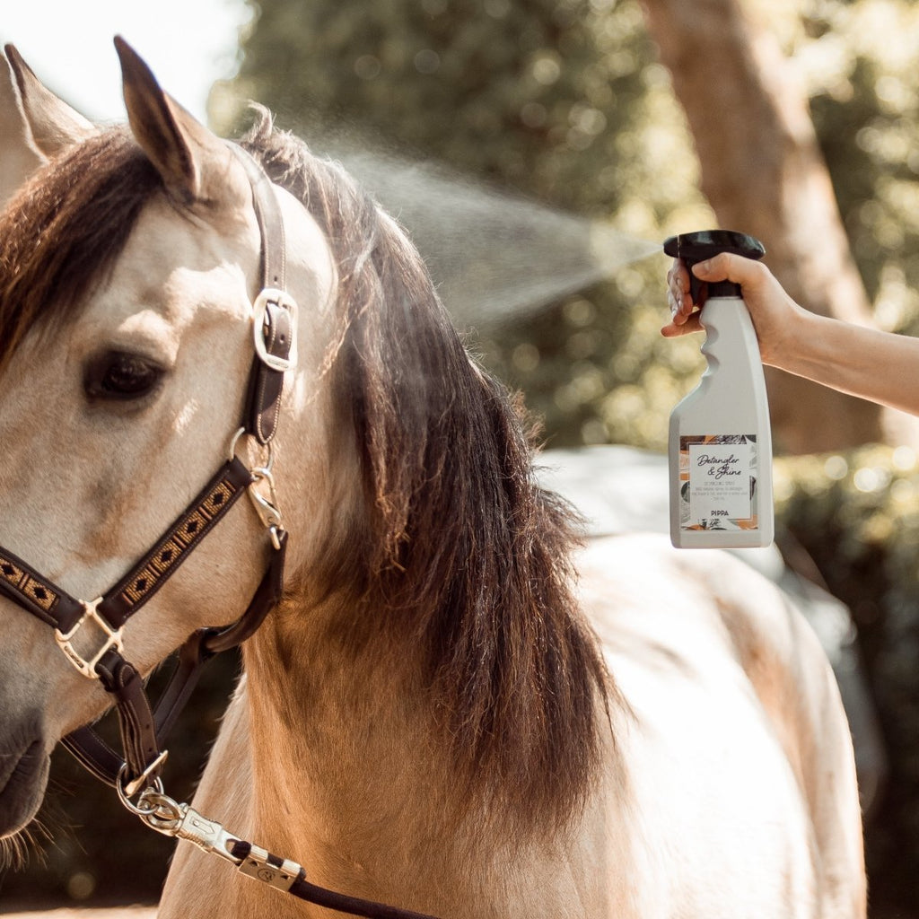 pippa detangler shine spray in gebruik op de manen van een paard