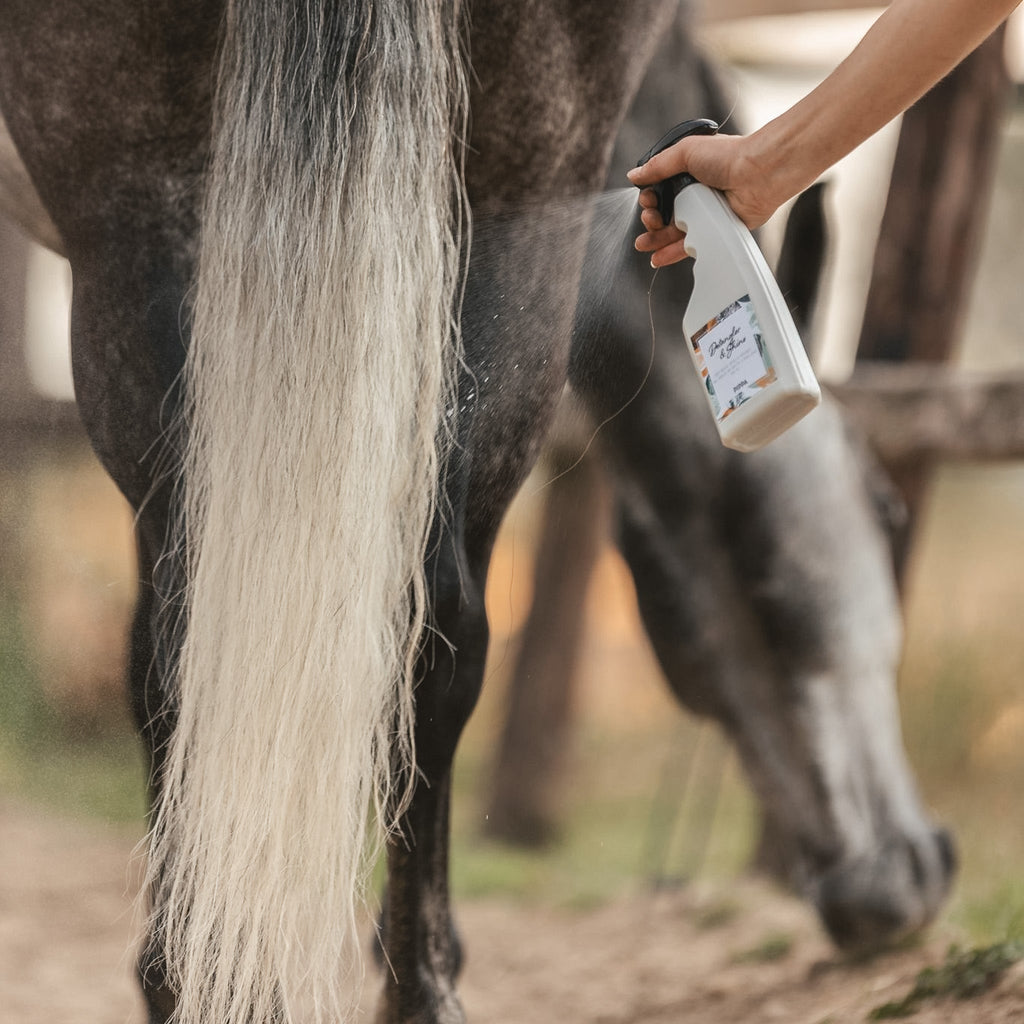 pippa detangler shine spray wordt gebruikt op de staart van een paard