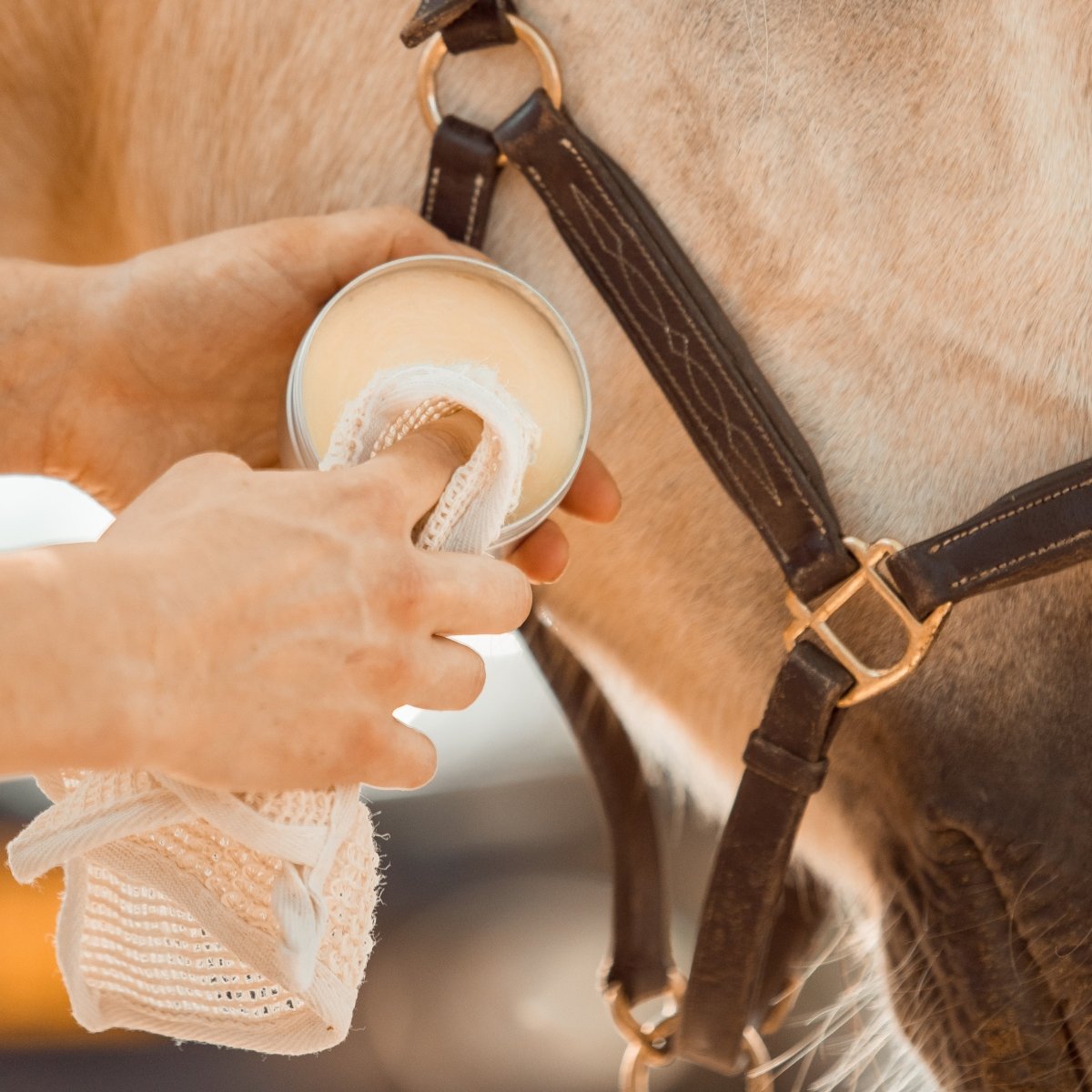 Het cactus cloth doekje wordt gebruikt om door de pippa leathercare lederwax te wrijven