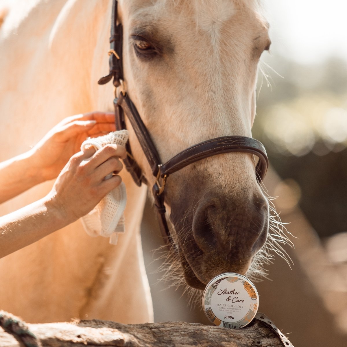 pippa leather care lederwax in de verpakking met op de achtergrond een paard waarvan het leren halster schoogemaakt wordt met de lederwax