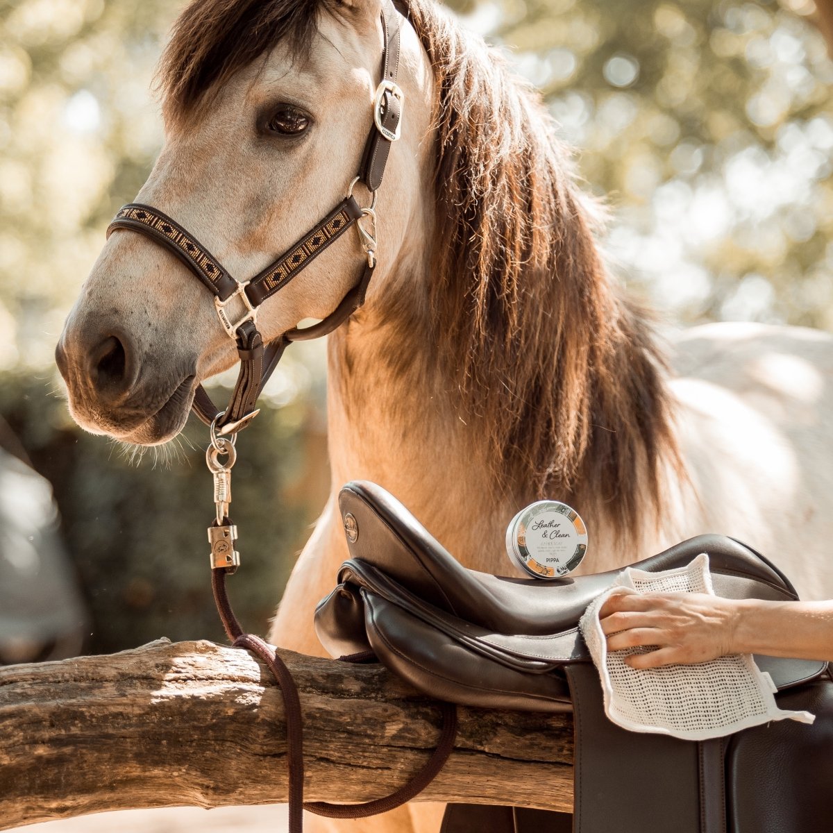 pippa leather clean lederzeep en het cactus schoonmaak doekje worden gebruikt om een zadel te reiningen