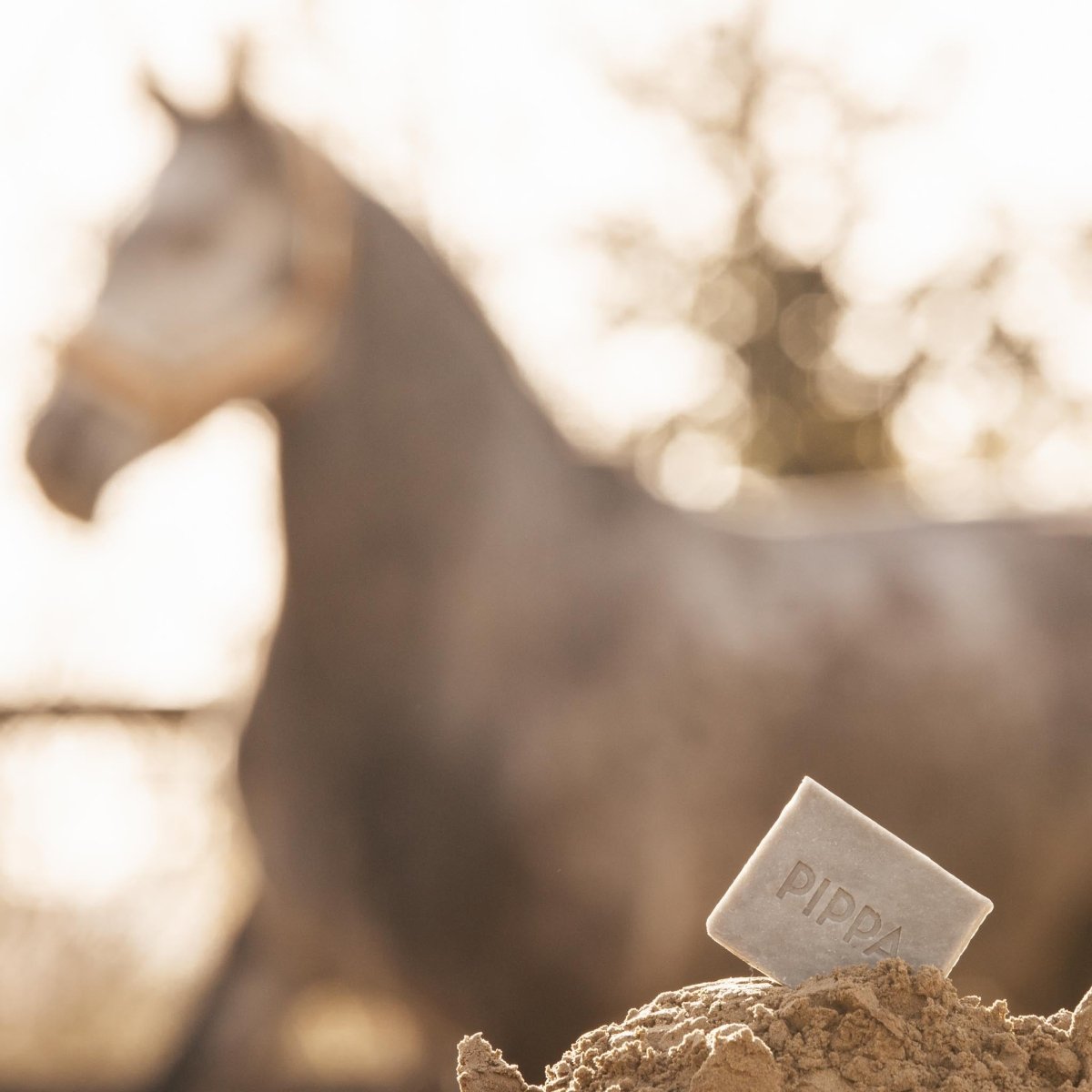 pippa paardenshampoo charcoal en peppermint shampoo bar met op de achtegrond ene grijs paard