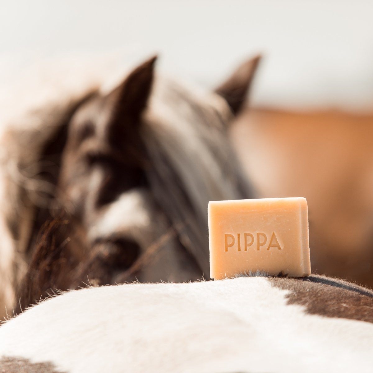 pippa paardenshampoo lemongrass mint shamboobar liggend op de billen van een paard