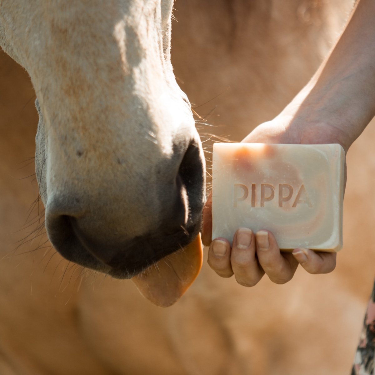 pippa paardenshapoo rosemary rice shampoobar met rijst en rozemarij met een paard wat ruikt aan de zeep