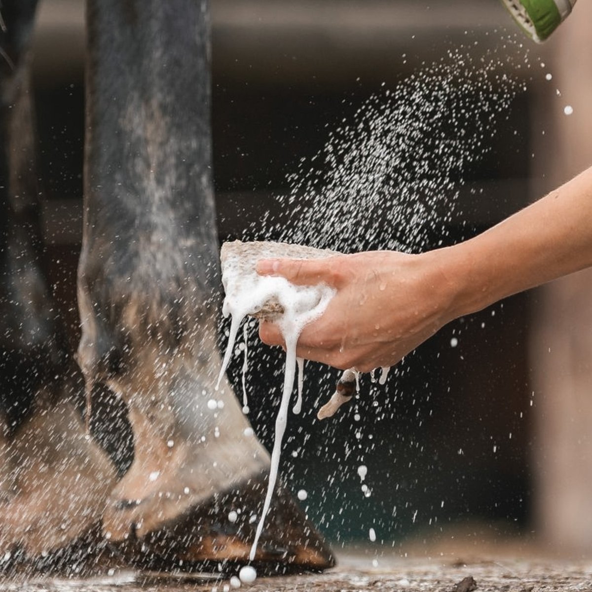 pippa sisal zeepzakje in gebruik tijdens het wassen van een paard