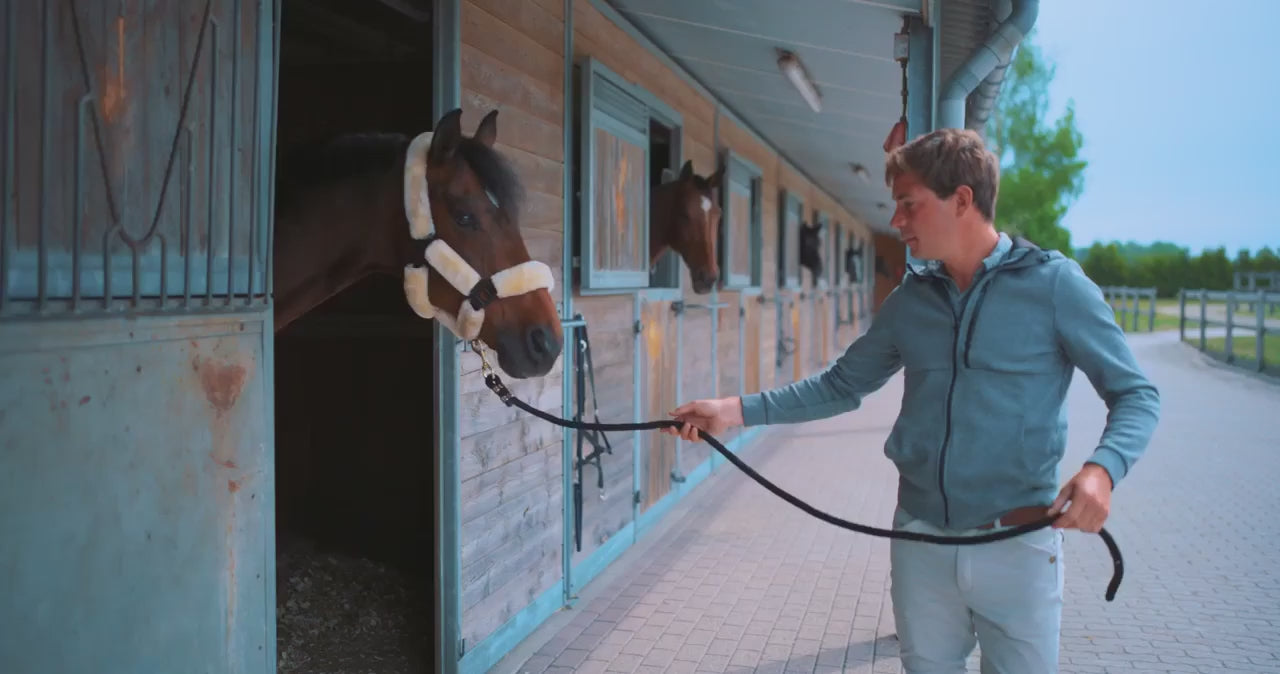 Trust Sweet Iron bit dubbel gebroken watertrens - paard