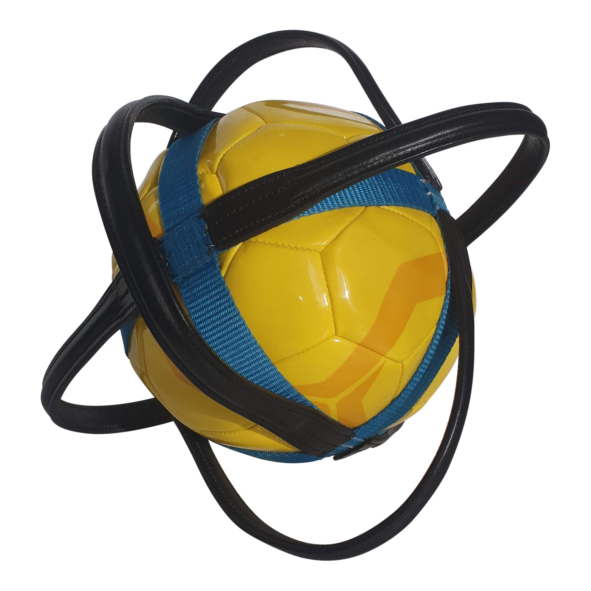 Manege Horseball starterset