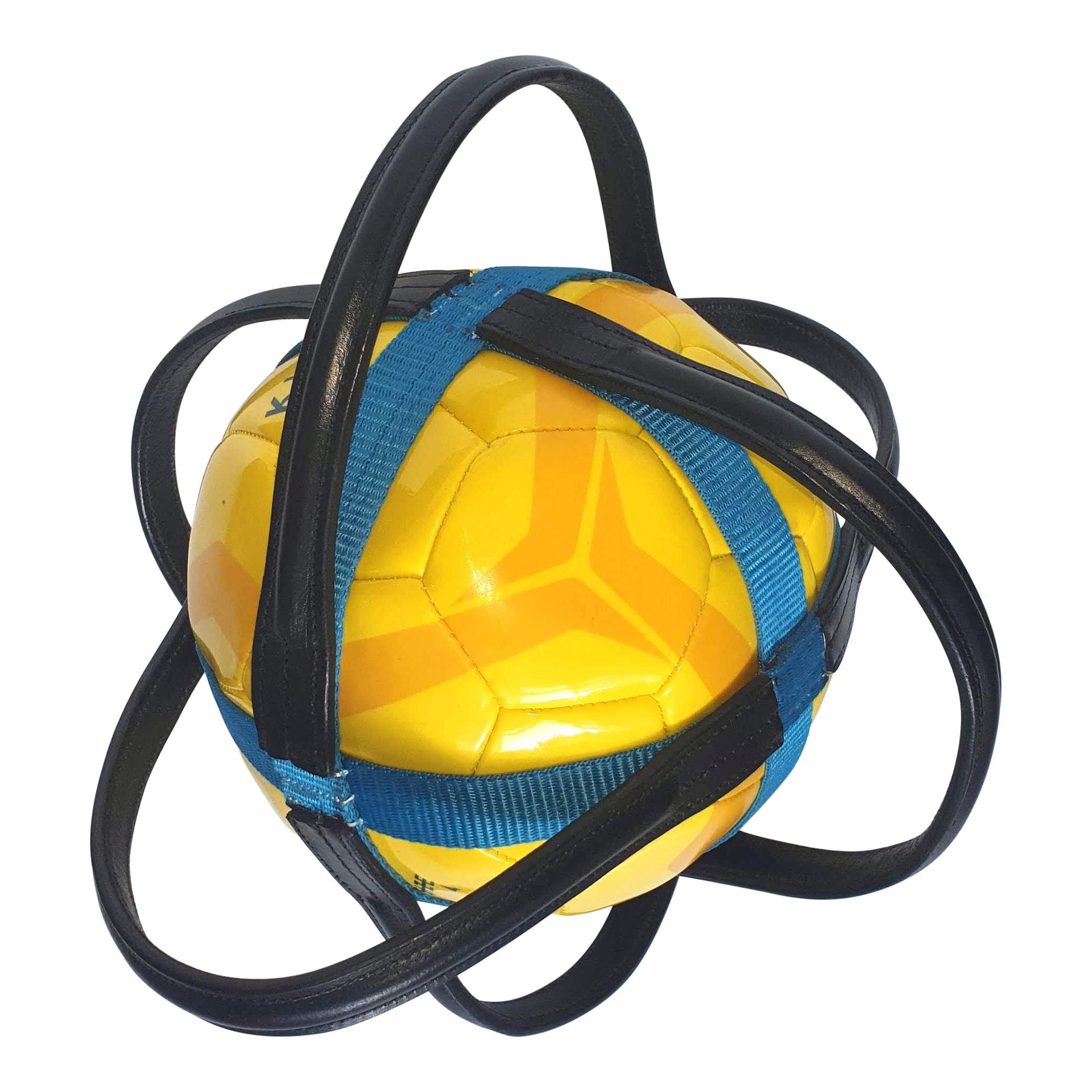 Horseball bal en houder