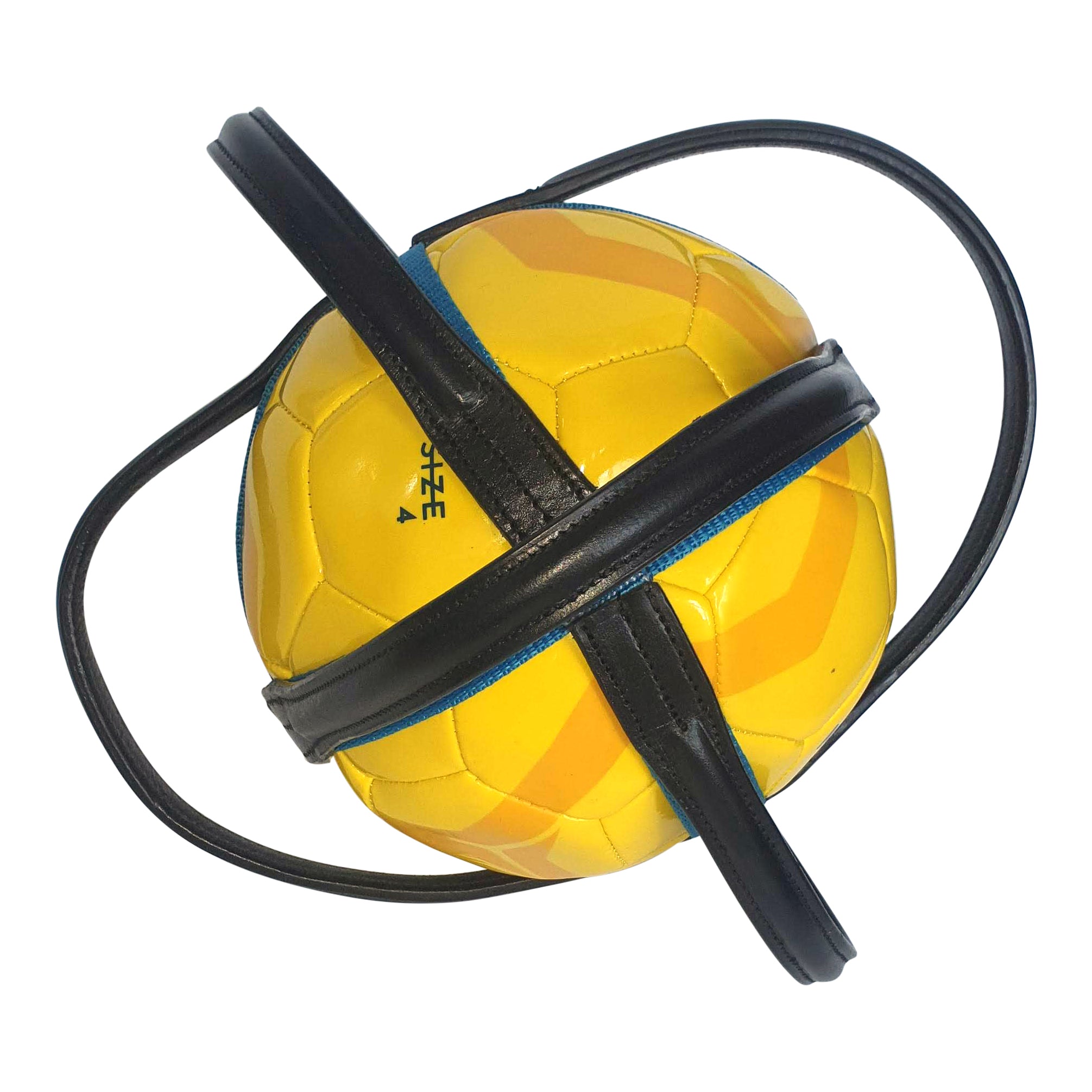 Horseball bal en houder