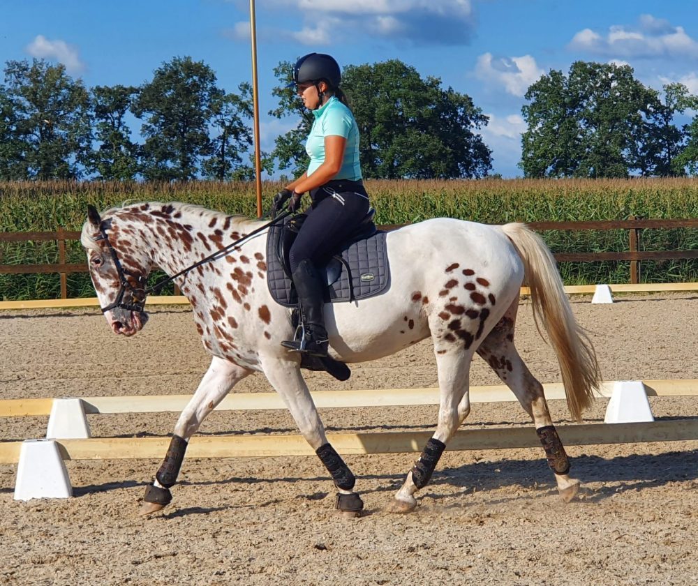 Zadeldekje Smokey Grey