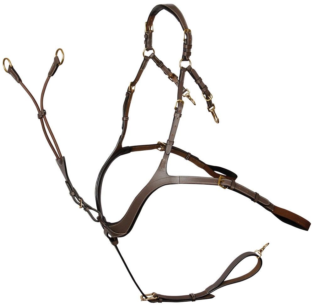 Borsttuig met martingaal deluxe