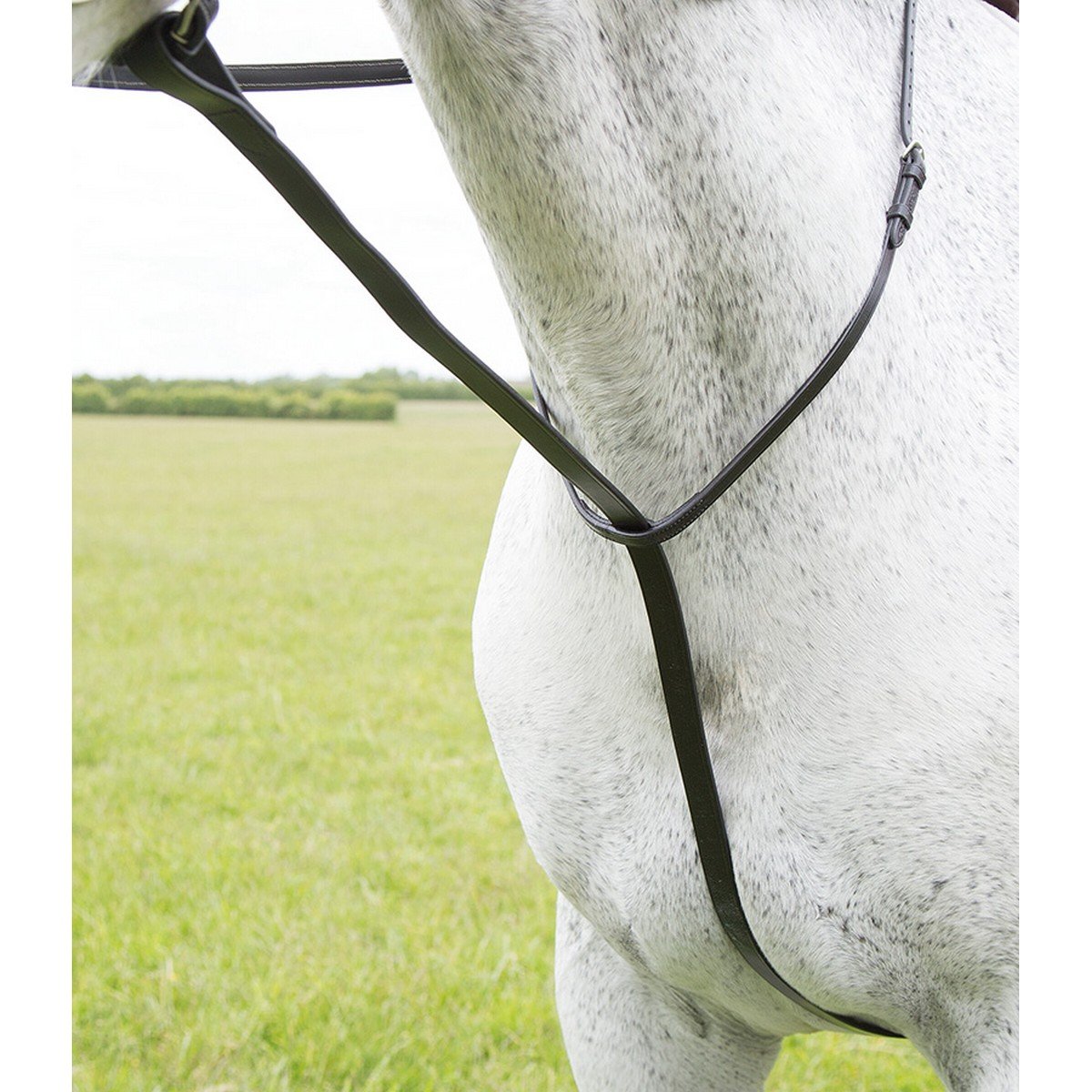 FireHorse Equestrian - Martingaal Staand / Fix