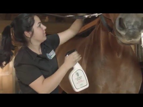 Cowboy Magic Super Bodyshine